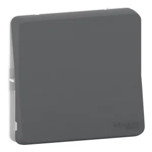 Schneider Electric MUREVA S MUR35027 кнопочный выключатель, антрацит, IP55 (ШНАЙДЕР) Schneider Electric MUREVA S MUR35027 кнопочный выключатель, антрацит, IP55 (ШНАЙДЕР)